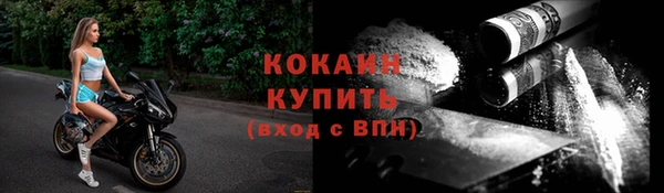 mix Ельня