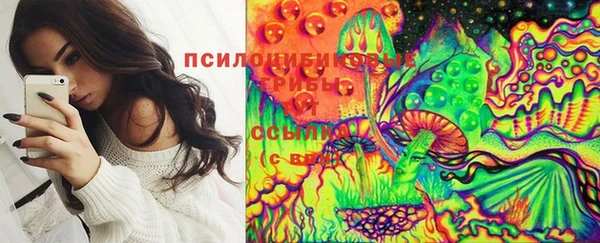 2c-b Елизово