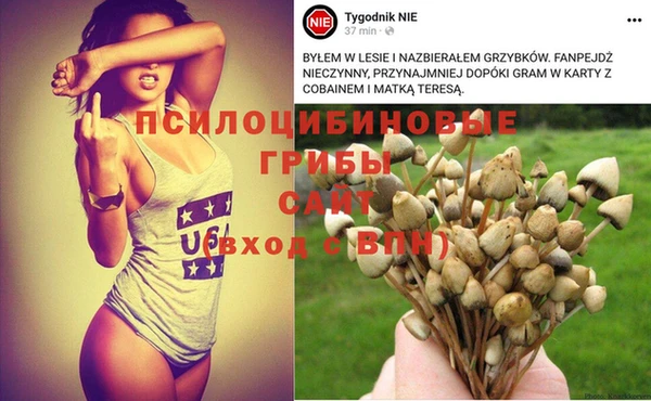 2c-b Елизово