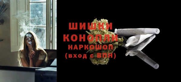 mix Ельня