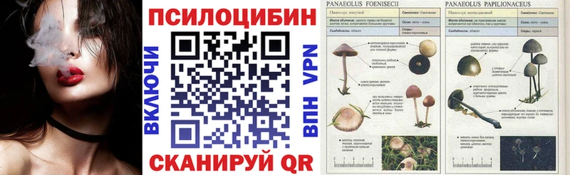 Галлюциногенные грибы ЛСД  Жигулёвск 